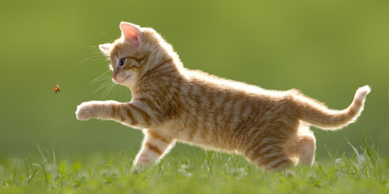 seguro de comunidades